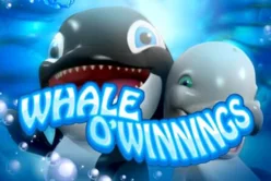 Whale O' Winnings