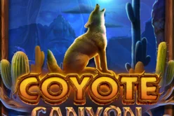 Coyote Canyon