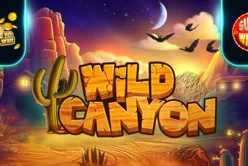 Wild Canyon