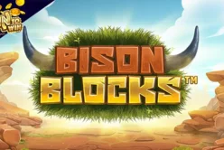Bison Blocks