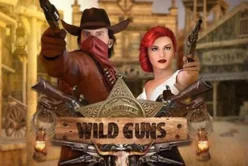 Wild Guns
