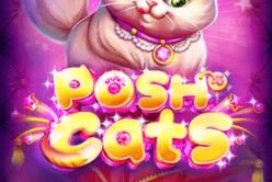 Posh Cats