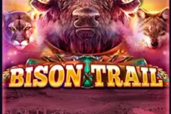 Bison Trail