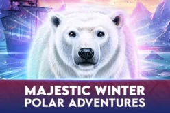 Majestic Winter – Polar Adventures