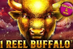1 Reel Buffalo