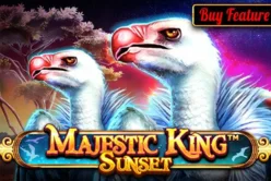 Majestic King – Sunset