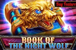 Book Of The Night Wolf