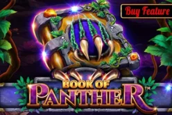 Book Of Panther