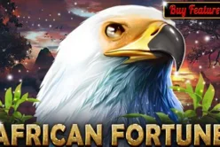 African Fortune
