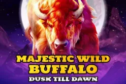 Majestic Wild Buffalo – Dusk Till Dawn