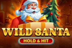 Wild Santa – Hold & Hit