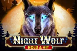 Night Wolf – Hold & Hit
