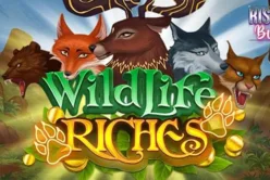 Wildlife Riches