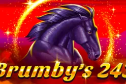 Brumby's 243