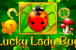 Lucky Lady Bug