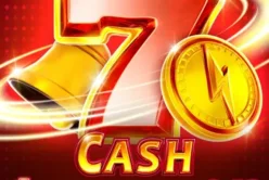 Cash Amplifier 243