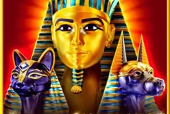 Allways Egypt Fortune