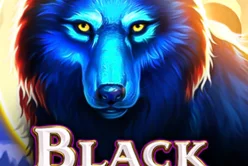 Black Wolf