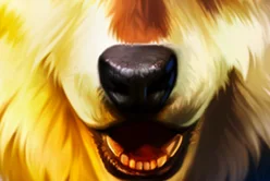 Wolf Night