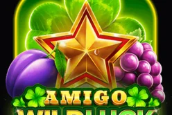 Amigo Wild Luck