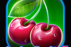 Amigo Fruits 5