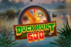 Duck Hunt 500