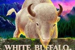 White Buffalo Miracles