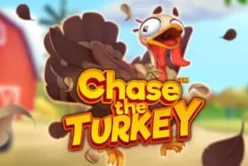 Chase the Turkey™