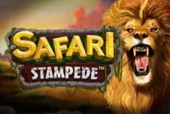 Safari Stampede™