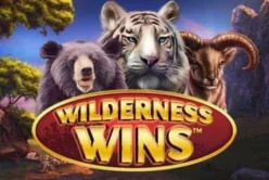 Wilderness Wins™