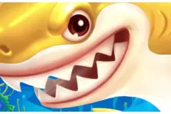 It’s Shark Time!