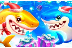 It's Shark Time Xmas!