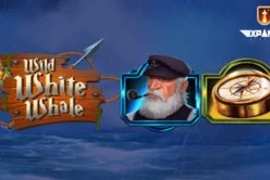 WILD WHITE WHALE