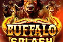 Buffalo Splash