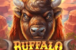 Buffalo Gold Canyon