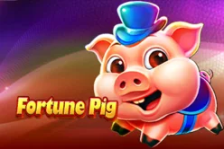 Fortune Pig