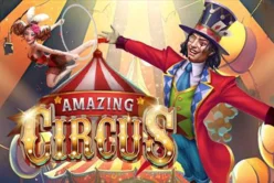 Amazing Circus