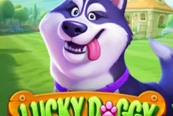 Lucky Doggy