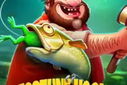 Fortune Hook Boom