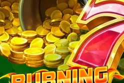 Burning Slots Dice