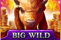 Big Wild Buffalo