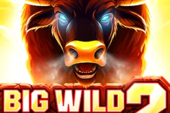 Big Wild Buffalo 2