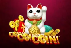 Coin Coin Coin CNY