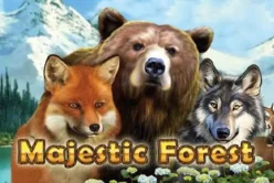 Majestic Forest