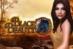 Black Beauty