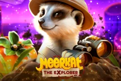 Meerkat