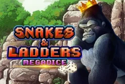 Snakes and Ladders Megadice™