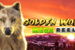 Golden Wolf