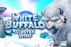 White Buffalo