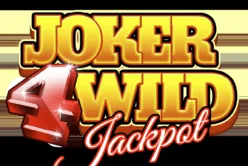 Joker4Wild
